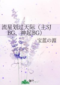 流星划过天际(主SJBG、神起BG)