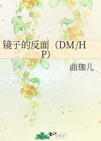 镜子的反面(DM/HP)