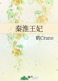 《秦淮王妃》