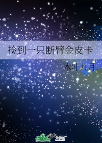 捡到一只断臂金皮卡