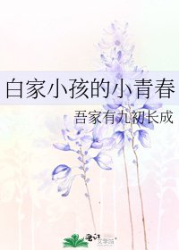 白家小孩的小青春