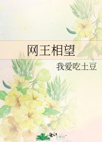 网王相望