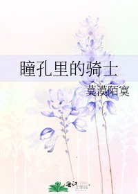 瞳孔里的骑士