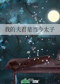 我的夫君是当今太子