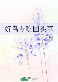 好鸟专吃回头草