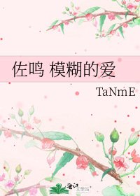 佐鸣 模糊的爱