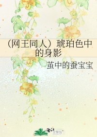 (网王同人)琥珀色中的身影
