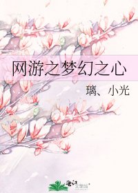 网游之梦幻之心
