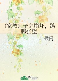 (家教)子之崩坏,踮脚张望