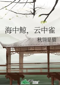 海中鯨,雲中雀
