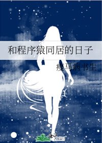 和程序猿同居的日子