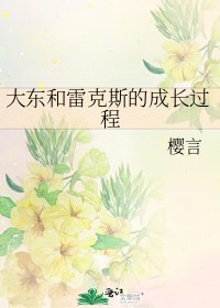 大东和雷克斯的成长过程