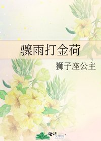 骤雨打金荷