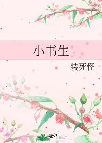 小書生