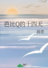 芭比Q的十四天