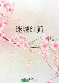 迷城鸿狐