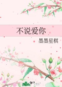 不说爱你