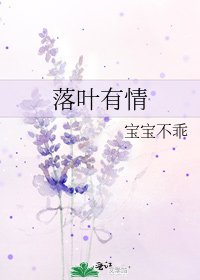 落叶有情