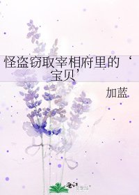 怪盗窃取宰相府里的‘宝贝’