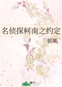 名侦探柯南之约定