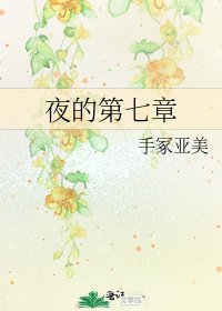 夜的第七章