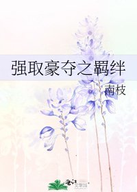 强取豪夺之羁绊