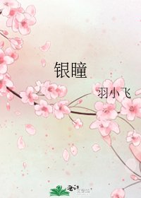 《银瞳》