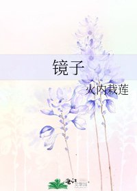 《镜子》