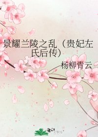 景耀兰陵之乱(贵妃左氏后传)