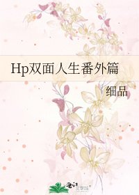 Hp双面人生番外篇