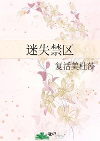 迷失禁区