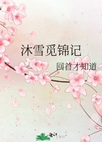 沐雪觅锦记