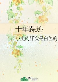 十年蹤跡