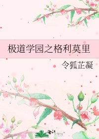极盗学园之格利莫里