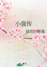 小强传