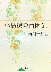 小岛探险酋困记