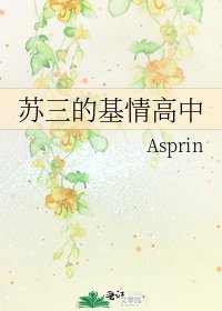 苏三的基情高中