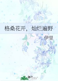 格桑花開,燦爛遍野