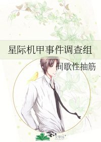 星际机甲事件调查组