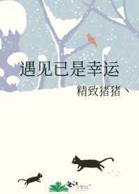 遇见已是幸运