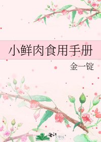 小鲜肉食用手册