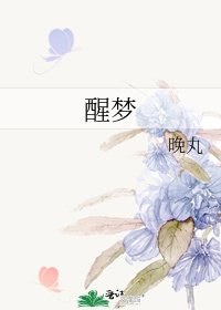 醒梦