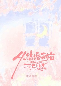 从结婚开始沦陷