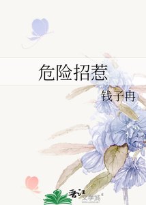 《危险招惹》