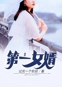《第一女婿》