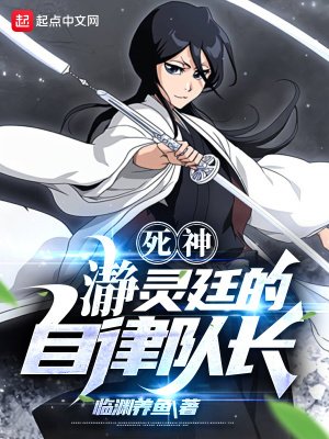 (死神同人)死神:瀞灵廷的自律队长