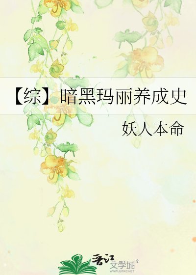 【综】暗黑玛丽养成史