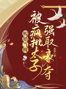 赐婚当晚,被疯批太子强取豪夺