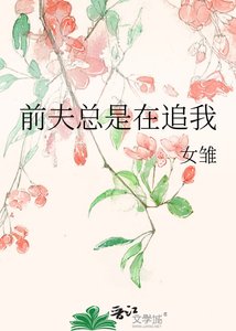 前夫總是在追我