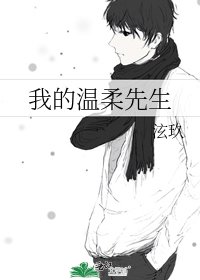 我的温柔先生